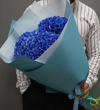 Букет из синей гортензии (под заказ 10 дней) Фото 394x433
